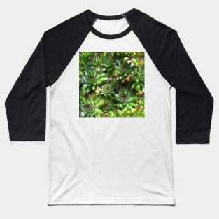 Succulent splendour  green bloom Baseball T-Shirt